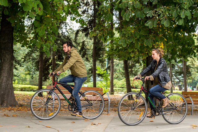 1-Day Bike Rental in Budapest - The Bike Setup: Gepida Trekking Bikes with Real Options