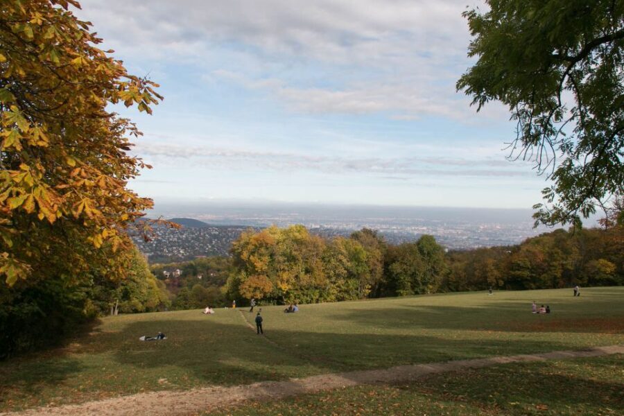 3Hour Outdoor Budapest Normafa Hike&History With a Historian - Elizabeth Lookout: Where the History and the View Lock Together