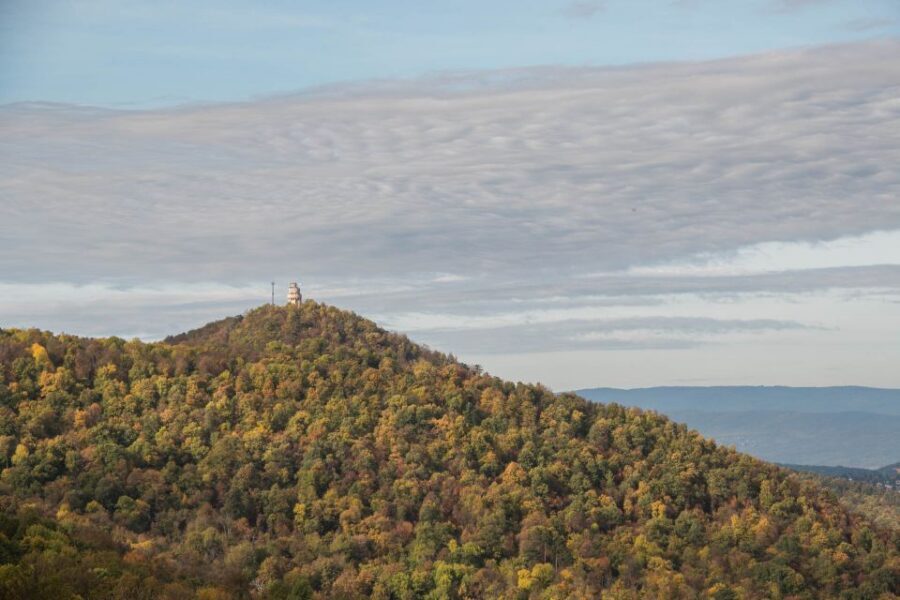 3Hour Outdoor Budapest Normafa Hike&History With a Historian - The Short Hike Formula: Forest Paths, Comfortable Pace, Real Views