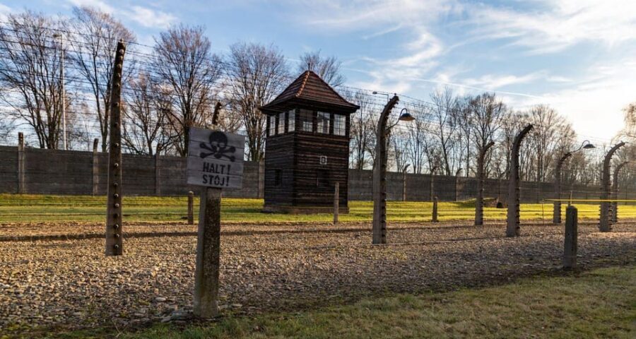Budapest: Auschwitz Birkenau Private Day Tour - Auschwitz from Budapest: what this private day trip really delivers