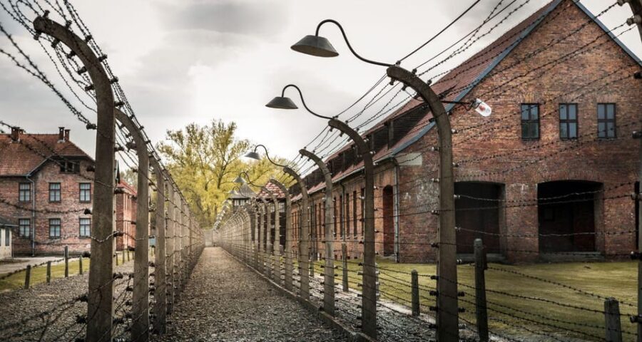 Budapest: Auschwitz Birkenau Private Day Tour - The long ride from Budapest: comfort, stops, and what to plan for