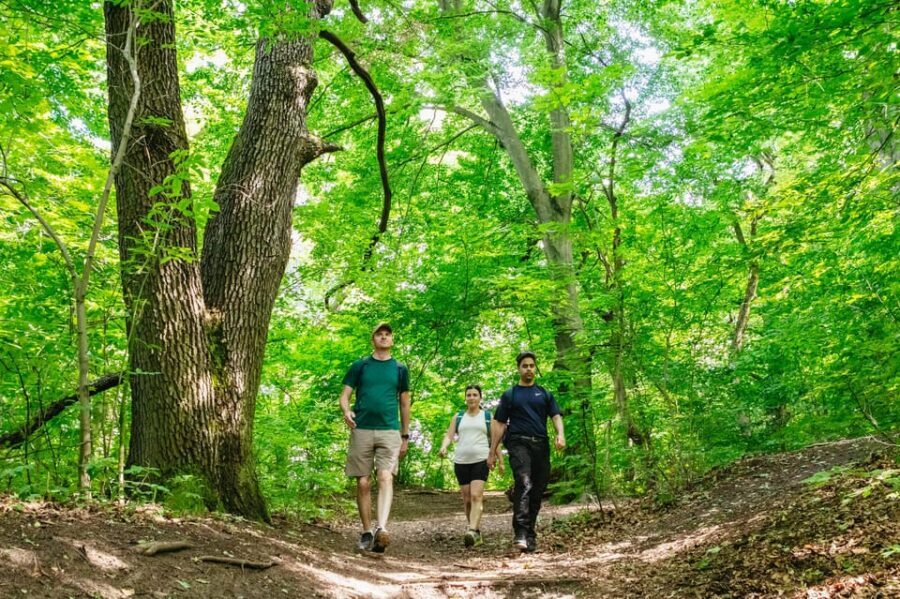 Budapest: Buda Hills Guided Hiking Tour with Optional Lunch - Key things I’d bet on