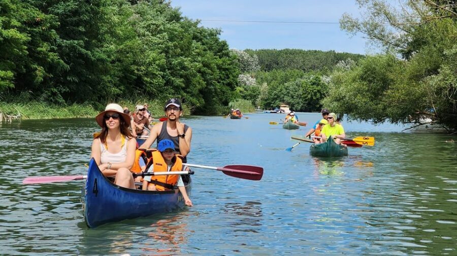 Budapest: Canoeing the Danube w or wo Sauna or Danube Beach - SaunaHouse after paddling: Finnish, steam, salty, log, infrared, and a plunge pool