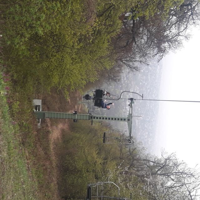 Budapest: Elisabeth Tower Visit by Chairlift & Transport - Coming back down: chairlift return and van back to the start