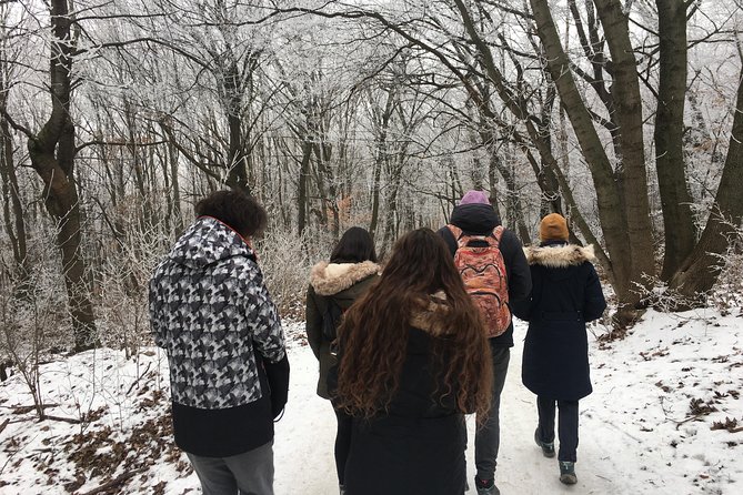 Budapest Hike - The Picnic Lunch: Fuel Without the Fuss