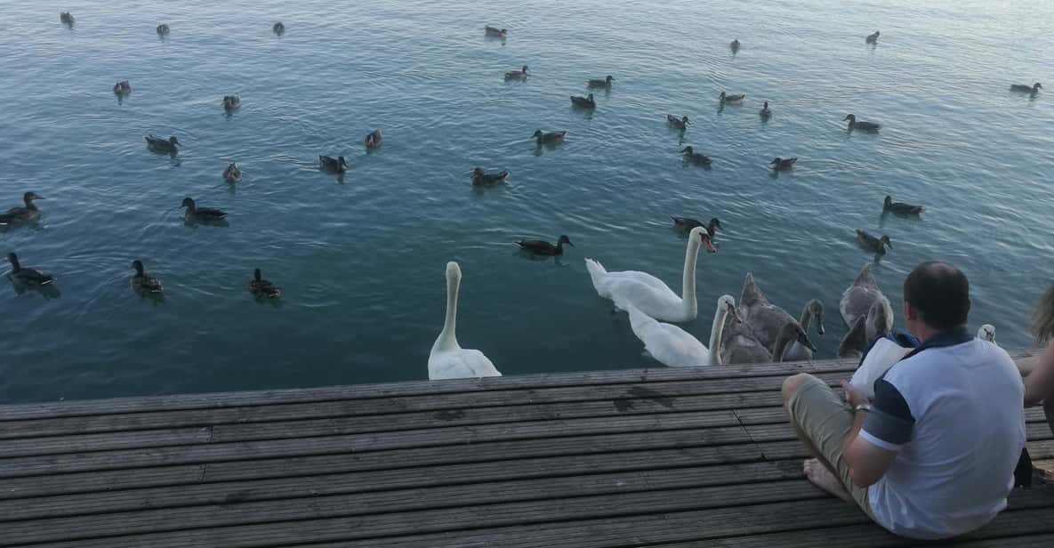 Budapest: Lake Balaton & Herend Porcelain Private Day Tour - Lake Balaton: the scale makes the day feel like a real getaway from Budapest