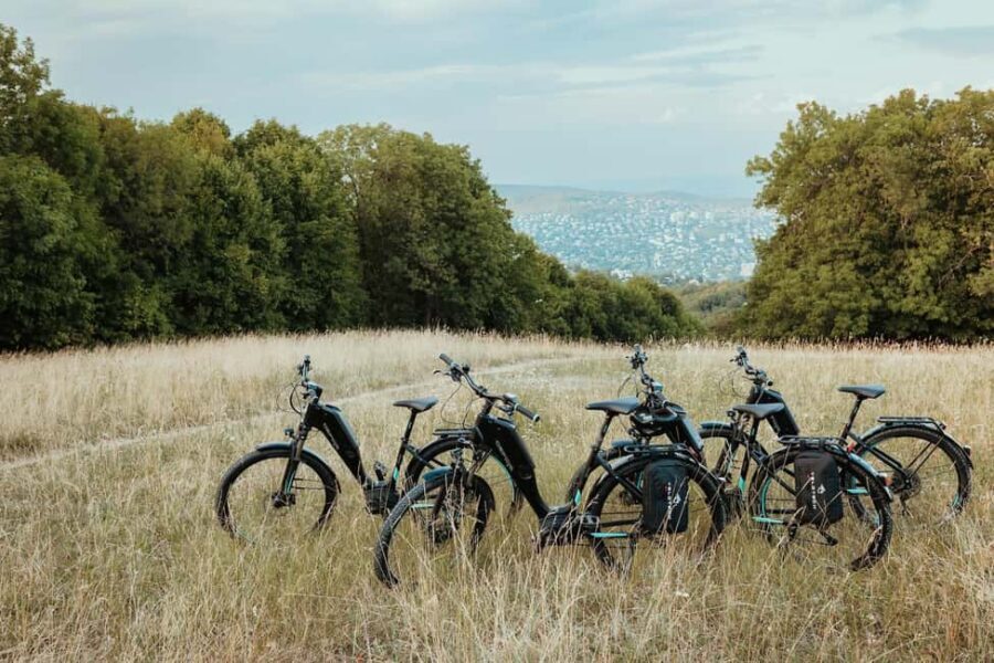 Budapest Peaks: Off-Road eBike Tour - Látó-hegy and Árpád-pihenő: short segments that keep the ride flowing