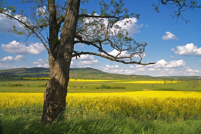 Budapest-Vienna One-Way Sightseeing Transfer - Why this one-way transfer feels like a real sightseeing day