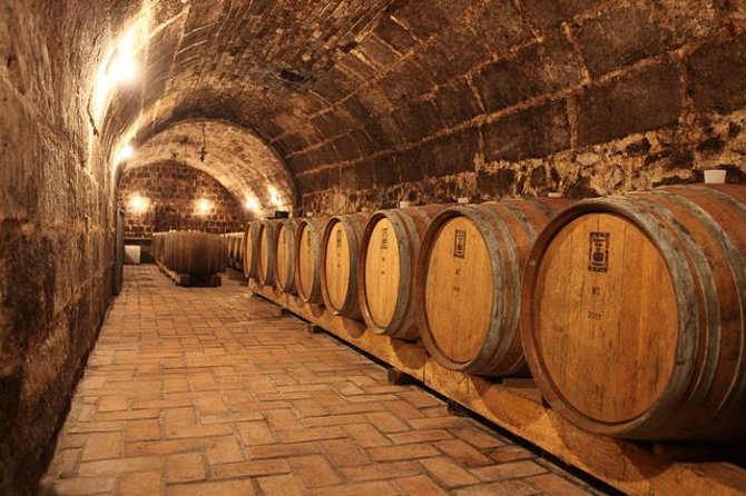Countryside Half-day Gastro-Wine Tour from Budapest Meal & pickup - Key things I’d watch for on this half-day format