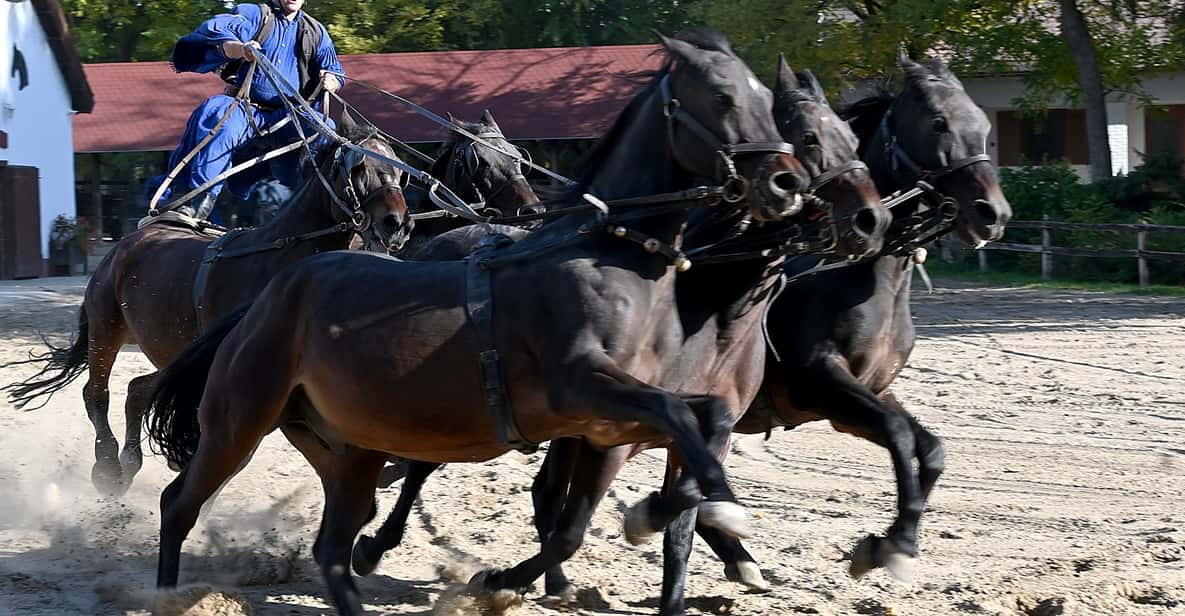 Countryside ranch, horse show & lunch - The Working Ranch Horse Show: Where the Cowboys Earn Their Pay
