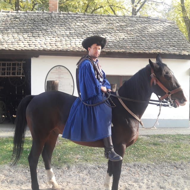 Countryside ranch, horse show & lunch - The 15-Minute Carriage Ride: Close Enough to Understand the Motion