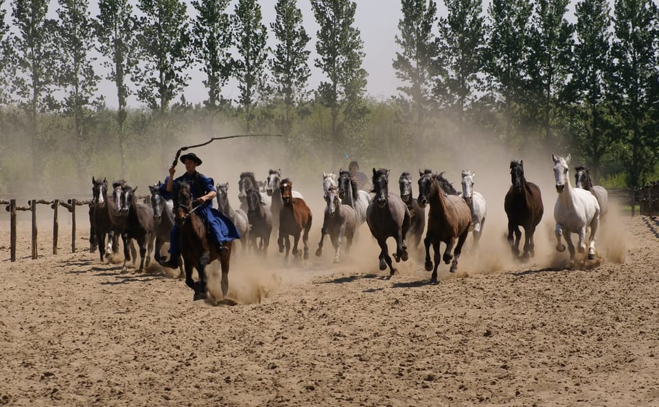 Countryside ranch, horse show & lunch - Lunch and Palinka: Real Goulash and a Shot of Fruit Brandy