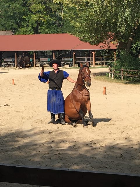 Countryside ranch, horse show & lunch - The Van Segments: Why the Timing Works (and Where It Might Not)