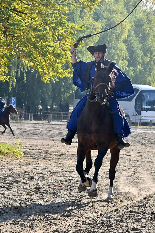 Countryside ranch, horse show & lunch - Who This Tour Fits Best