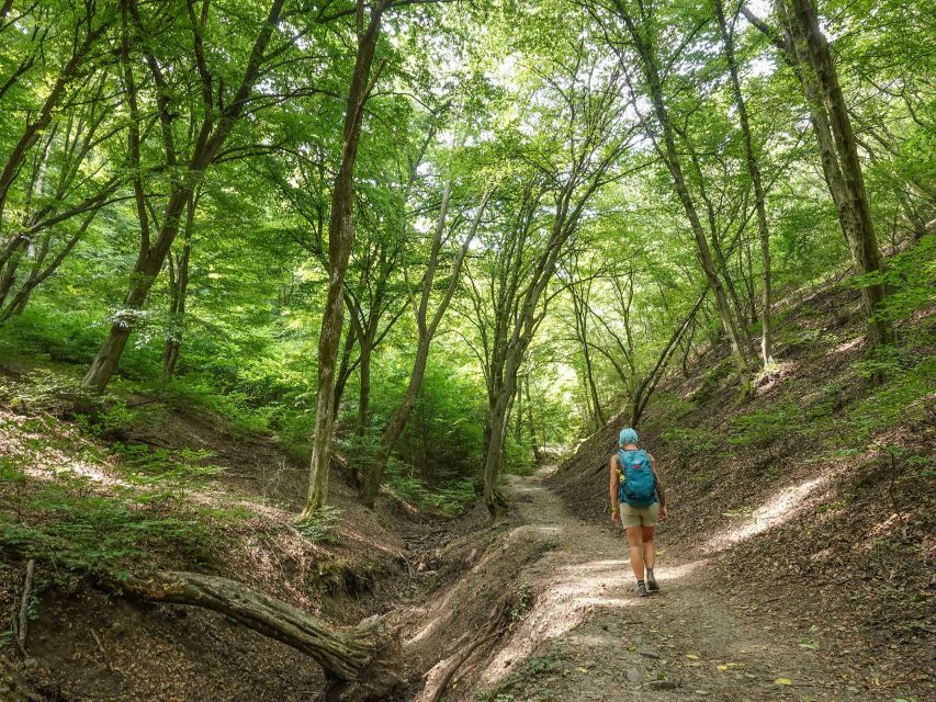 Danube Bend Hiking and Kayaking Adventure - Key highlights worth circling