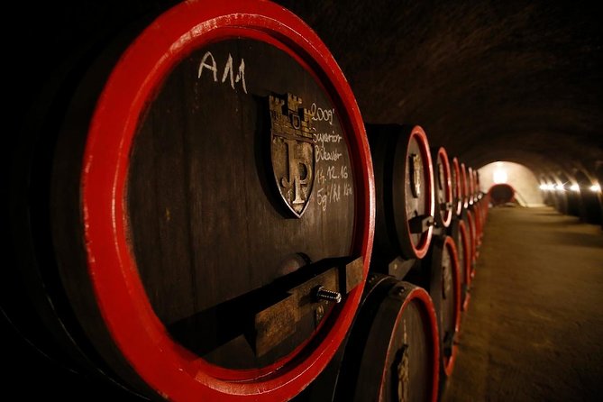 Eger Private Full-Day Wine Tasting Tour and Sightseeing from Budapest - Eger Castle ruins and views you can’t fake