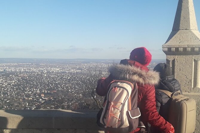 Elisabeth tower visit by chairlift and private transport - What you’ll actually see: famous Budapest buildings in clear weather