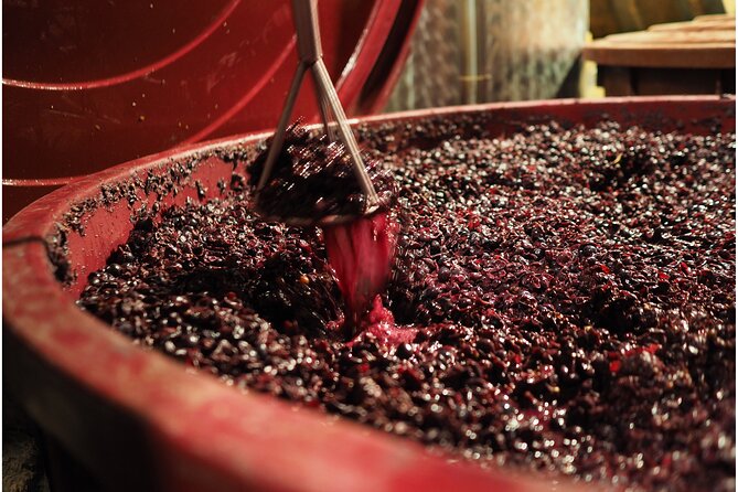 Etyek Private Half-Day Wine Tasting Tour from Budapest - Should You Book This Etyek Private Half-Day Wine Tasting?