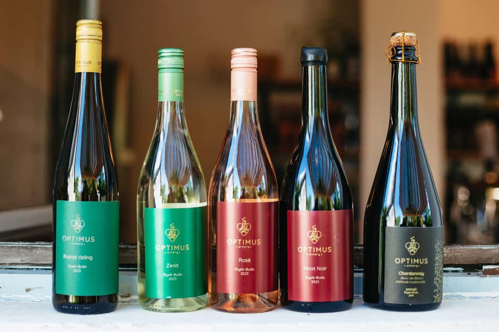 From Budapest: Etyek Wine Tasting Tour with 3-Course Meal - Guides in the Spotlight: History That Actually Helps You Taste