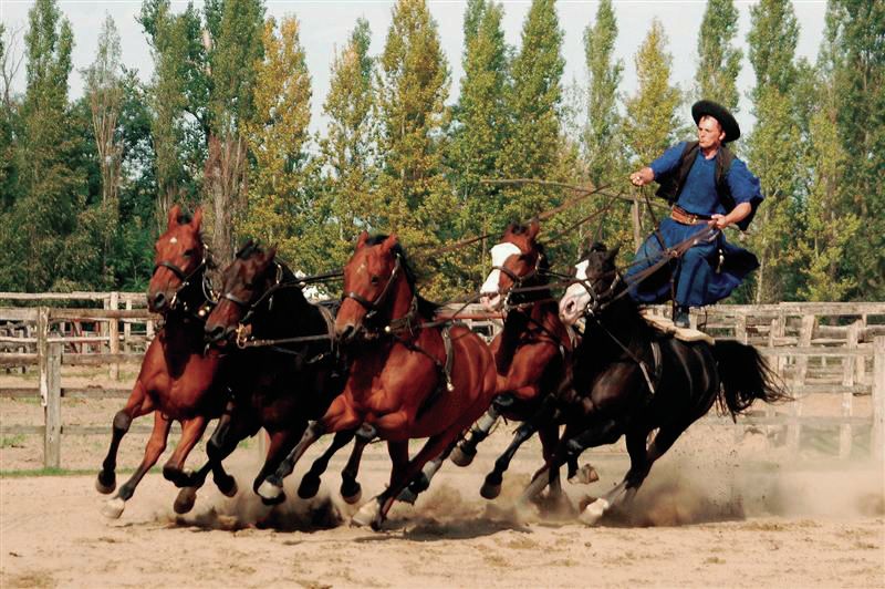 From Budapest: Full-Day Puszta Tour with Lunch and Show - Why Kecskemét plus a Puszta-style ranch works