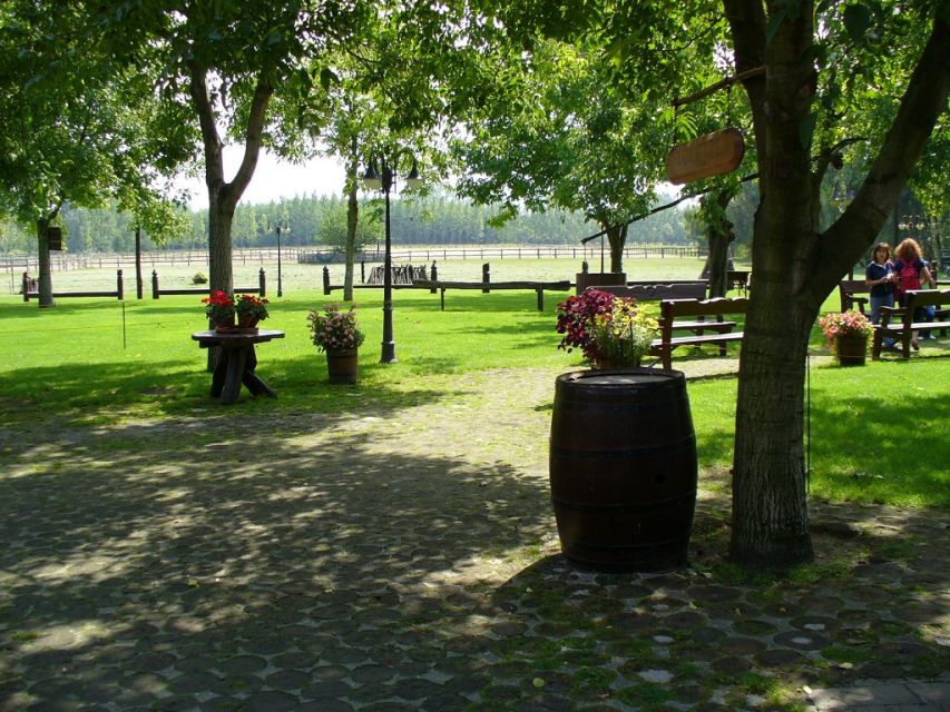 From Budapest: Full-Day Puszta Tour with Lunch and Show - Kecskemét walking tour: city flavor, then a quick reset