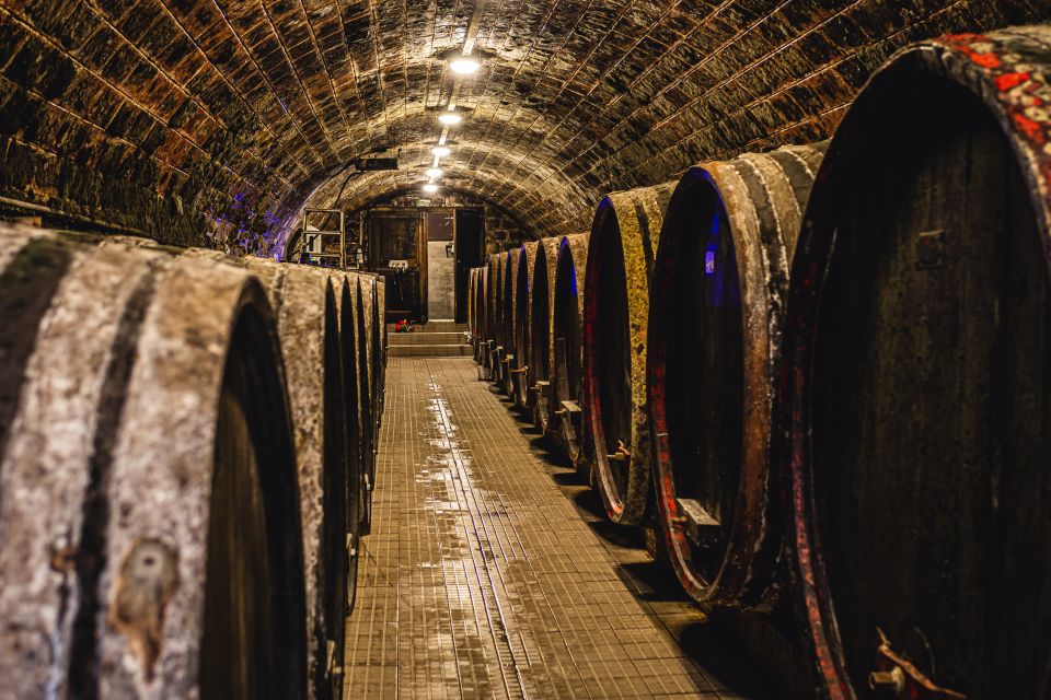 From Budapest: Mátra Hills Wine Tour - Price and what $341 buys you in real terms