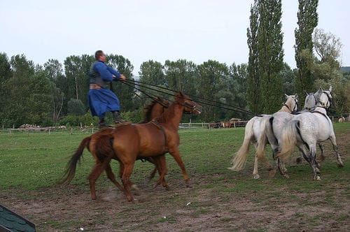 From Budapest: Puszta Horse Show and Countryside Visit - Leaving Budapest behind: why this day trip works