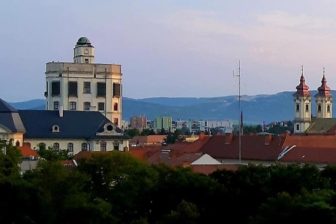 Home to Bull's Blood red wine! Eger with winetaste private tour - Minorita Templom and Eger Basilica: quick art stops that don’t waste your time