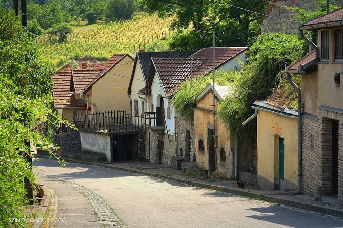 Home to Bull's Blood red wine! Eger with winetaste private tour - Price and logistics: does $420 feel fair?