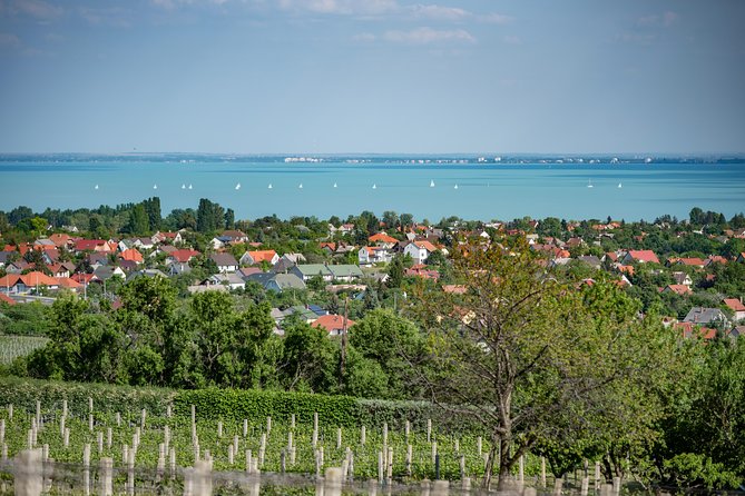 Lake Balaton Full Day Private Wine Tour - Tihany Echo: the peninsula views and the village walk you’ll remember