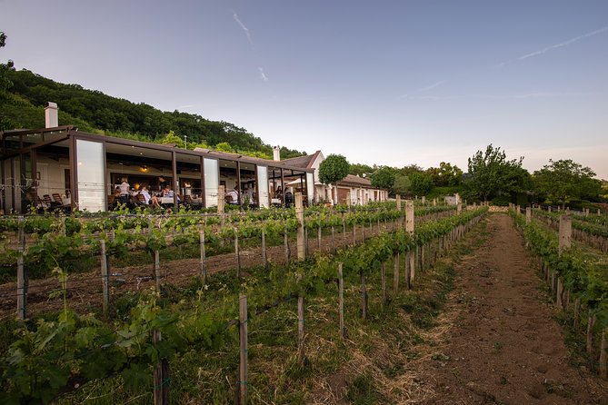 Lake Balaton Full Day Private Wine Tour - Balatonfüred and the Tagore Promenade: a calm way to reset