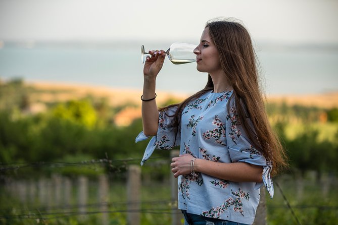 Lake Balaton Full Day Private Wine Tour - Door-to-door in Budapest: saving time is the real luxury