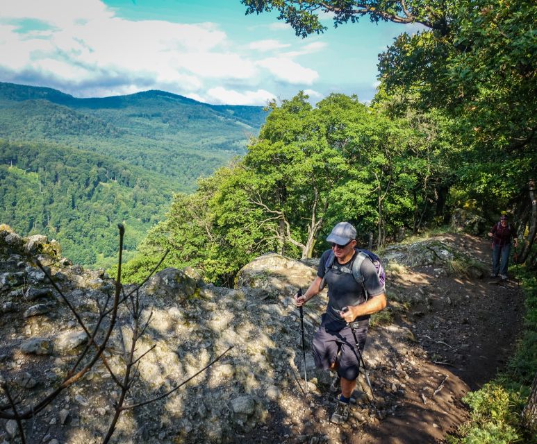 One Day Wonder Hike - The Essence of the Danube Bend - Dömös to the Vadallo Stones: the steep beginning that sets the tone