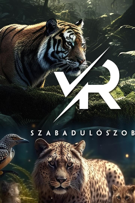 PÁNiQ-SZOBA | VR Escape Rooms by PANiQ ROOM in Budapest - Before the headset: how the game master briefing sets you up