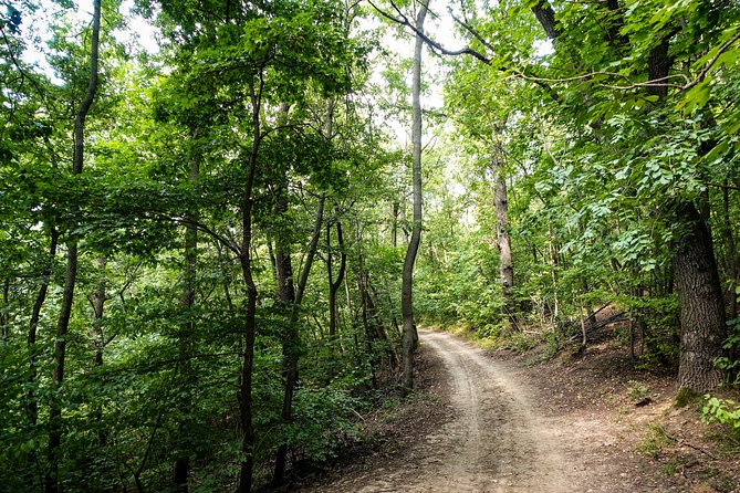 Panoramic hike around Budapest - Pickup and Drop-Off: The Hidden Value