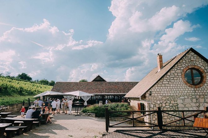 Private Etyek Wine tour with dinner including a Budapest Danube Evening Cruise - Budapest sightseeing stops that break up the return ride