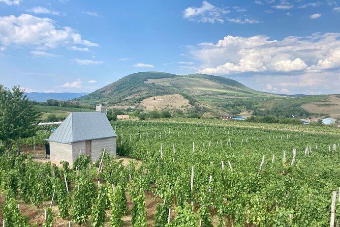 Private Full Day Tour to Eger - History, Culture and Wine - Price and Value: Does $307.05 Per Person Make Sense?