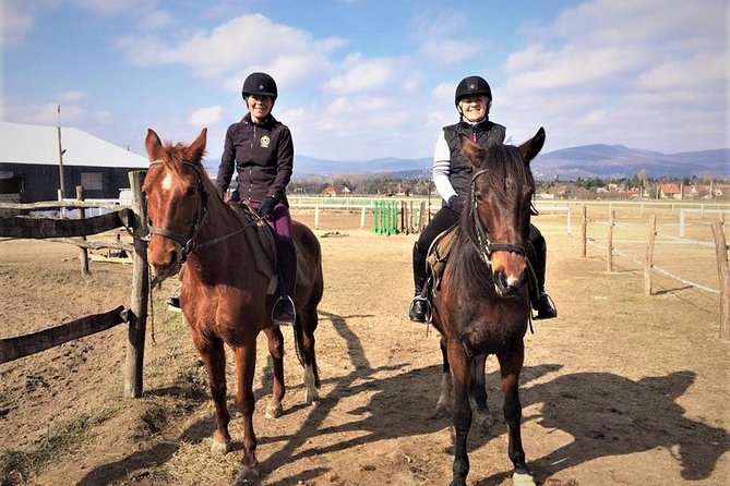 Private Horse Riding near Budapest with transport - Key points if you’re deciding fast