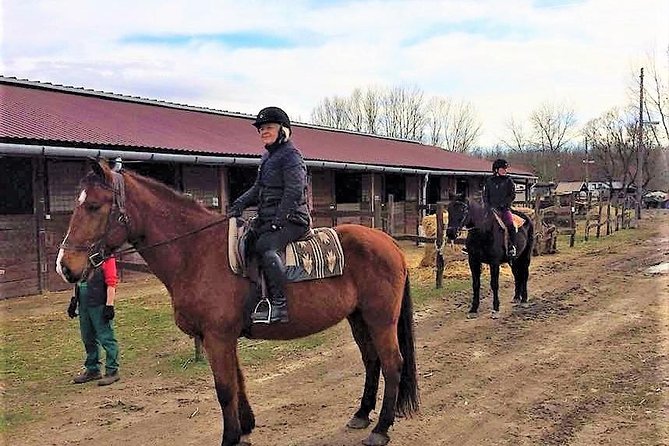 Private Horse Riding near Budapest with transport - Getting there without stress: transport and how the timing feels
