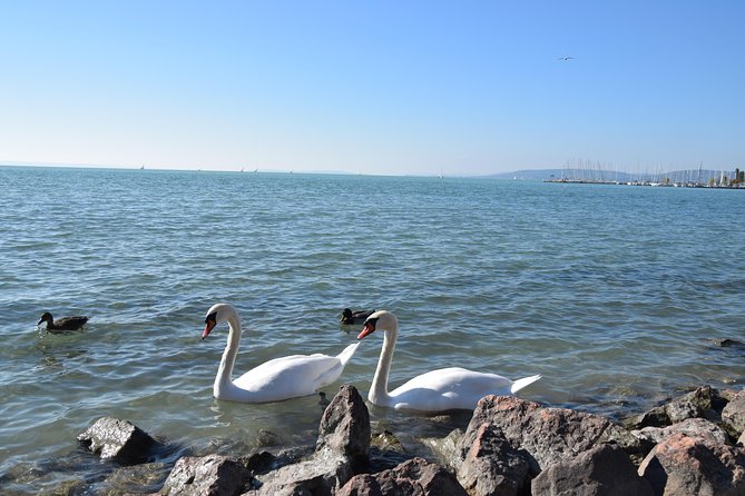 Private Lake Balaton Experience with an unforgettable Wine Tasting - Balatonfüred And The Wine Tasting: Where The Day Changes Gear