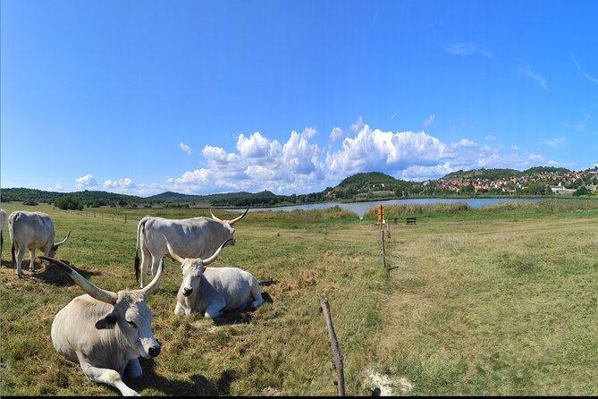 Private tour from Budapest to a top hidden treasure region of Europe: Lake Balaton - Your day’s route: how the stops actually shape the experience
