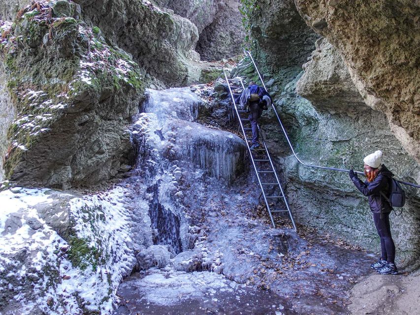 Ram Gorge Hiking Adventure - Shady forests and animal sightings: nature you can actually notice
