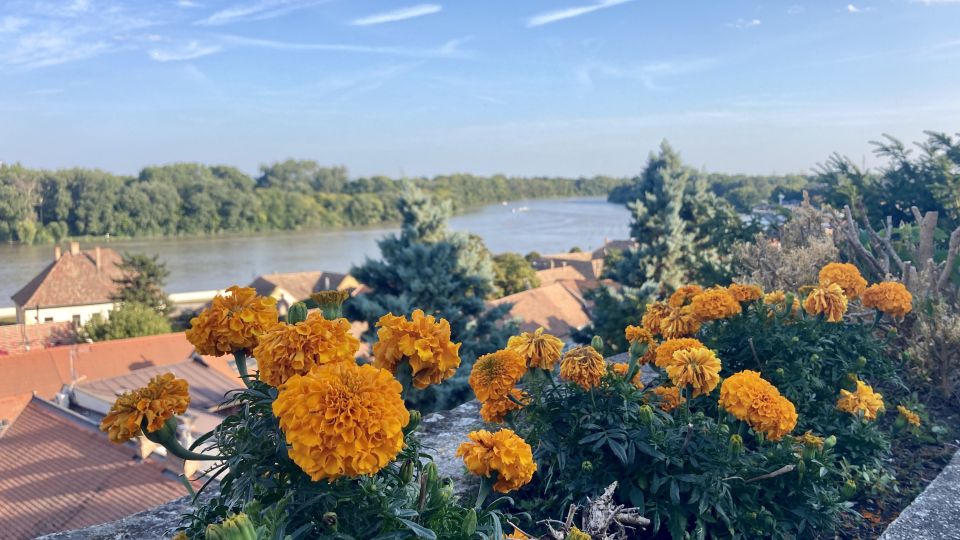 Szentendre: Arts and Cafés Tour (Half-Day Private Tour) - Key highlights I’d plan around