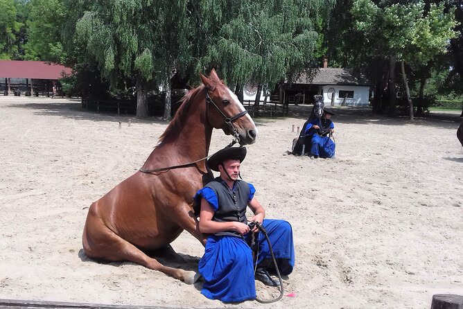 The "Puszta" Horse Show - Key Highlights Worth Your Time