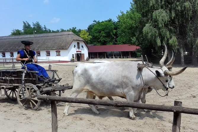 The "Puszta" Horse Show - The Included Lunch: Traditional Hungarian Food Plus Drinks