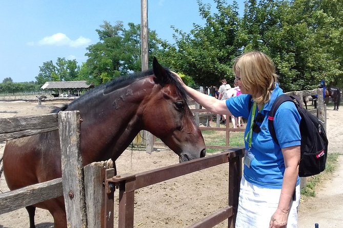 The "Puszta" Horse Show - How Good Value Feels Here (Not Just the Price Tag)