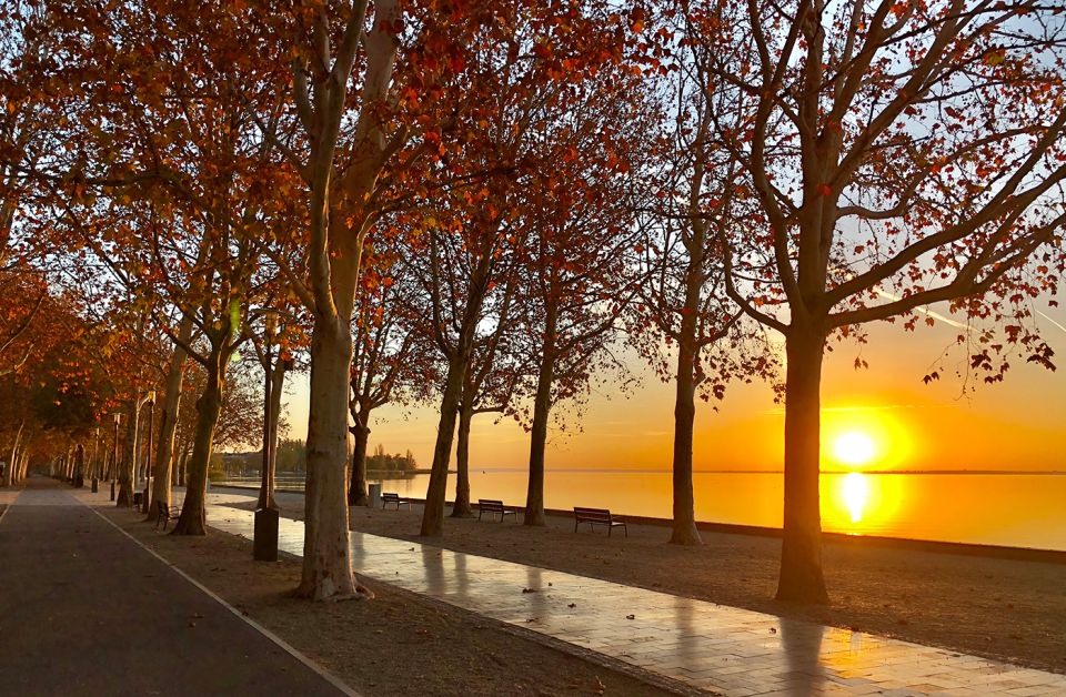 The Turquoise Sea of Hungary: Lake Balaton Private Tour - Transport, Timing, and How the 8 Hours Feel in Real Life