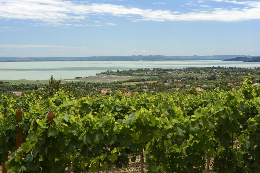 The Turquoise Sea of Hungary: Lake Balaton Private Tour - A Quick Guide to Your Expectations