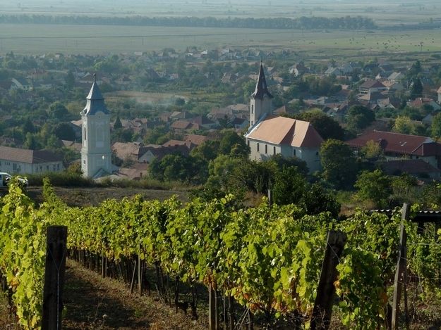 Tokaj Private Day Tour from Budapest - Quick Take: What Makes This Tokaj Tour Worth Your Time