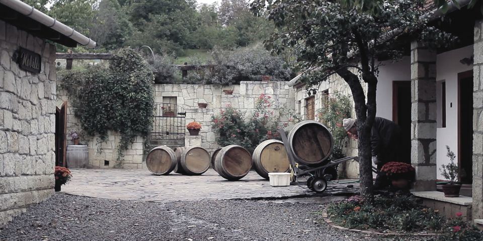 Tokaj Private Day Tour from Budapest - Starting Point in Budapest: Make the First Hour Easy